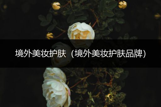 境外美妝護(hù)膚（境外美妝護(hù)膚品牌）