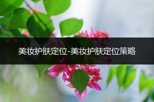 美妝護(hù)膚定位-美妝護(hù)膚定位策略