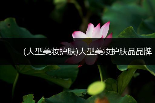 （大型美妝護(hù)膚)大型美妝護(hù)膚品品牌