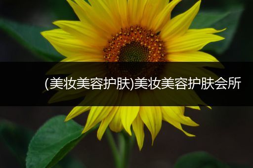 （美妝美容護(hù)膚)美妝美容護(hù)膚會(huì)所