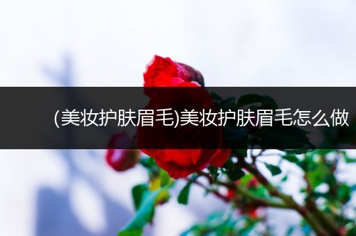 （美妝護(hù)膚眉毛)美妝護(hù)膚眉毛怎么做