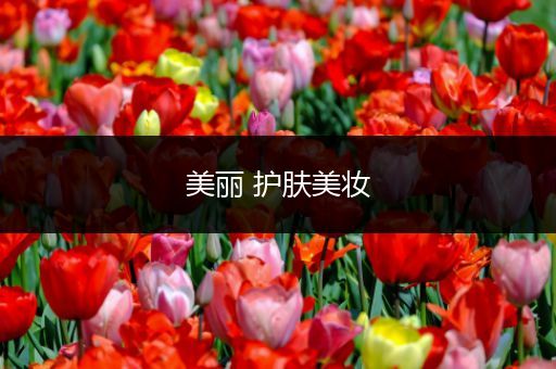美麗 護膚美妝