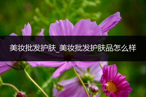 美妝批發(fā)護(hù)膚_美妝批發(fā)護(hù)膚品怎么樣