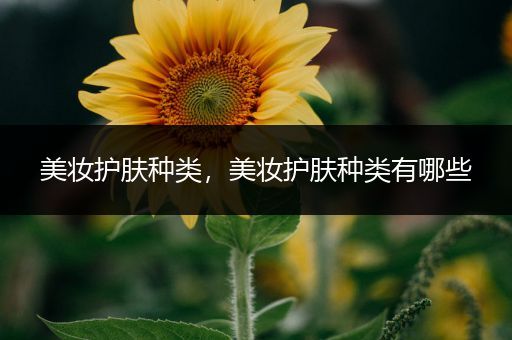 美妝護(hù)膚種類，美妝護(hù)膚種類有哪些