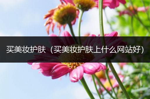 買(mǎi)美妝護(hù)膚（買(mǎi)美妝護(hù)膚上什么網(wǎng)站好）