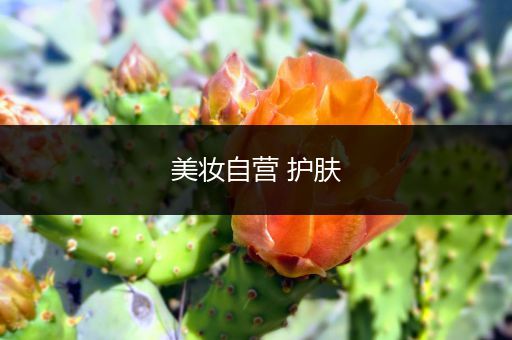 美妝自營(yíng) 護(hù)膚