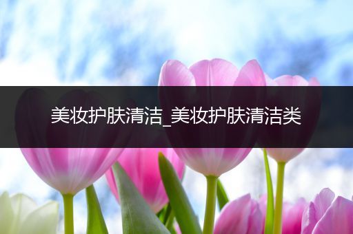 美妝護(hù)膚清潔_美妝護(hù)膚清潔類