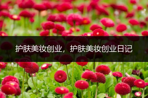 護(hù)膚美妝創(chuàng)業(yè)，護(hù)膚美妝創(chuàng)業(yè)日記