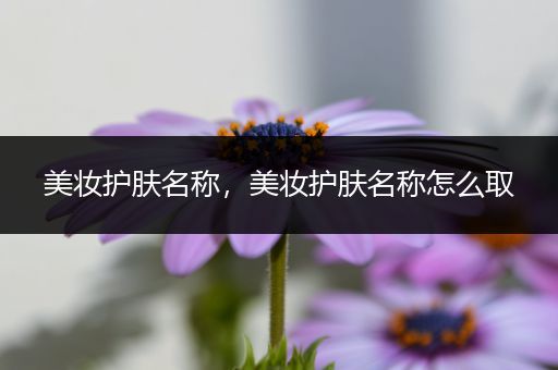 美妝護(hù)膚名稱，美妝護(hù)膚名稱怎么取