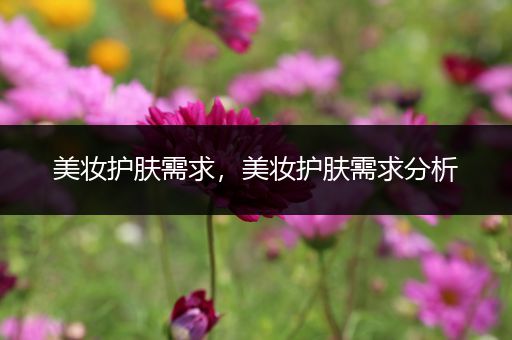 美妝護(hù)膚需求，美妝護(hù)膚需求分析