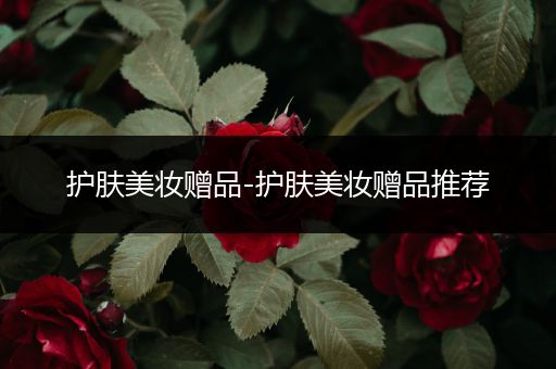 護(hù)膚美妝贈品-護(hù)膚美妝贈品推薦