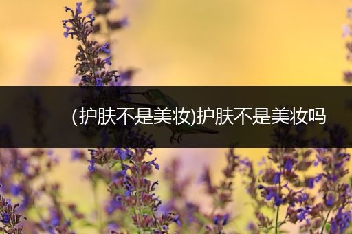 （護(hù)膚不是美妝)護(hù)膚不是美妝嗎