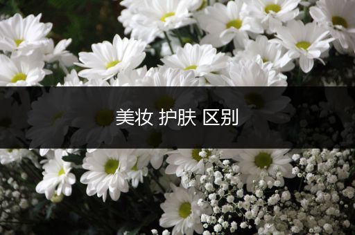美妝 護(hù)膚 區(qū)別