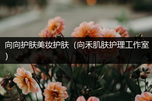 向向護(hù)膚美妝護(hù)膚（向禾肌膚護(hù)理工作室）