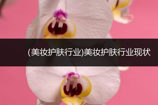 （美妝護(hù)膚行業(yè))美妝護(hù)膚行業(yè)現(xiàn)狀