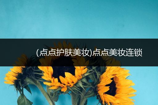 （點(diǎn)點(diǎn)護(hù)膚美妝)點(diǎn)點(diǎn)美妝連鎖