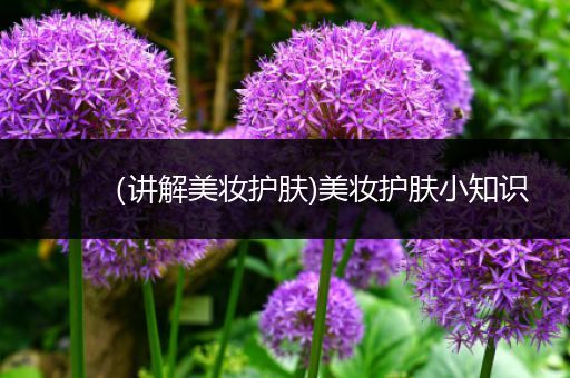 （講解美妝護(hù)膚)美妝護(hù)膚小知識(shí)
