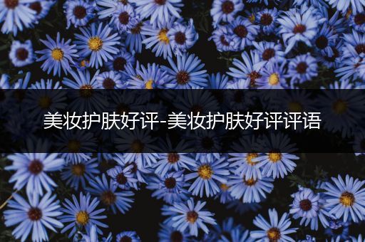 美妝護(hù)膚好評(píng)-美妝護(hù)膚好評(píng)評(píng)語