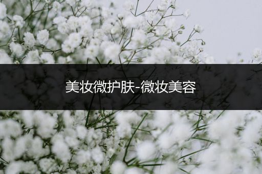 美妝微護(hù)膚-微妝美容