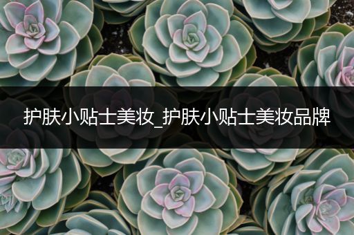 護(hù)膚小貼士美妝_護(hù)膚小貼士美妝品牌