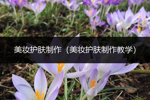 美妝護膚制作（美妝護膚制作教學）