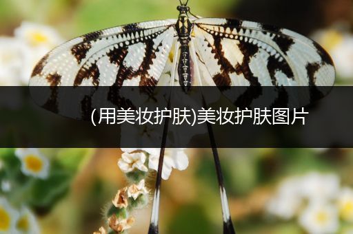 （用美妝護(hù)膚)美妝護(hù)膚圖片