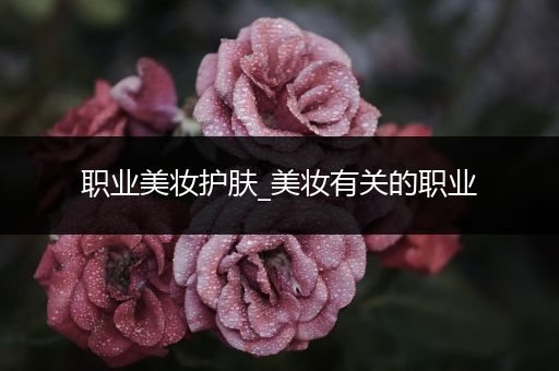 職業(yè)美妝護膚_美妝有關(guān)的職業(yè)