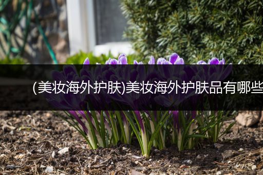 （美妝海外護(hù)膚)美妝海外護(hù)膚品有哪些