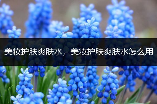 美妝護(hù)膚爽膚水，美妝護(hù)膚爽膚水怎么用