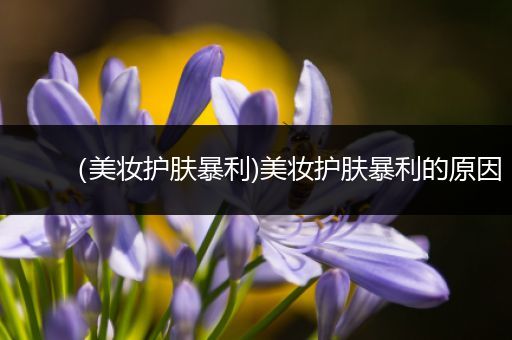 （美妝護(hù)膚暴利)美妝護(hù)膚暴利的原因