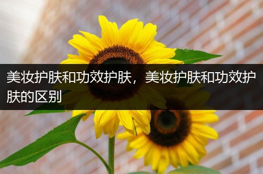 美妝護膚和功效護膚，美妝護膚和功效護膚的區(qū)別