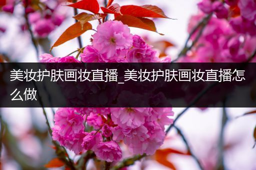 美妝護(hù)膚畫妝直播_美妝護(hù)膚畫妝直播怎么做