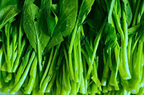 吳江各月份適合吃哪些青菜？